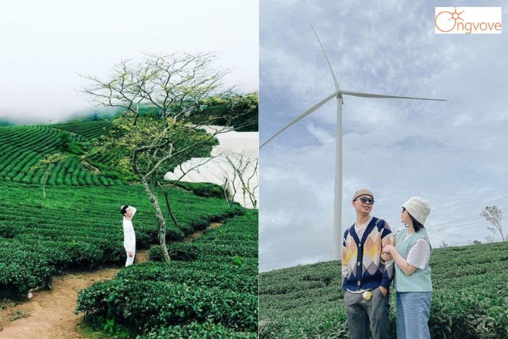 Background tuyệt đẹp cho những bức hình “sống ảo”