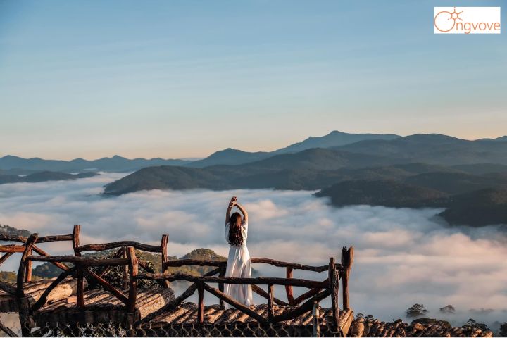 Cắm trại săn mây và ngắm bình minh tại thảm gỗ săn mây đồi chè Cầu Đất