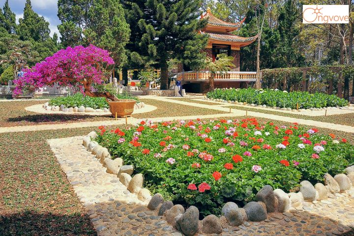 Khám phá vườn hoa và cảnh quan xung quanh