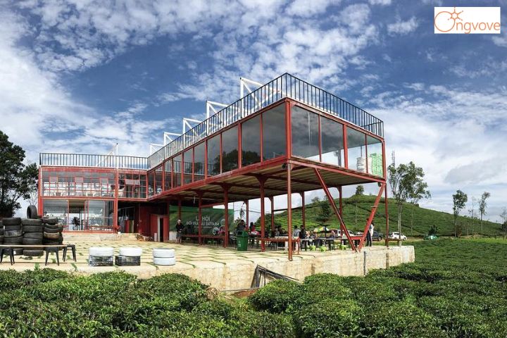 Quán cafe Container view 360 độ ngắm đồi chè
