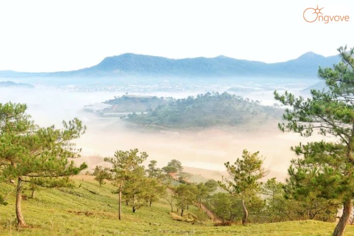 Giới thiệu Đồi Thiên Phúc Đức Đà Lạt