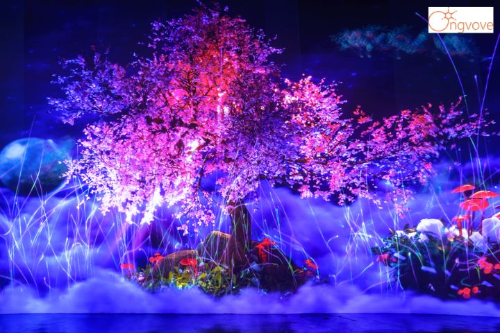Vườn Ánh Sáng Lumiere