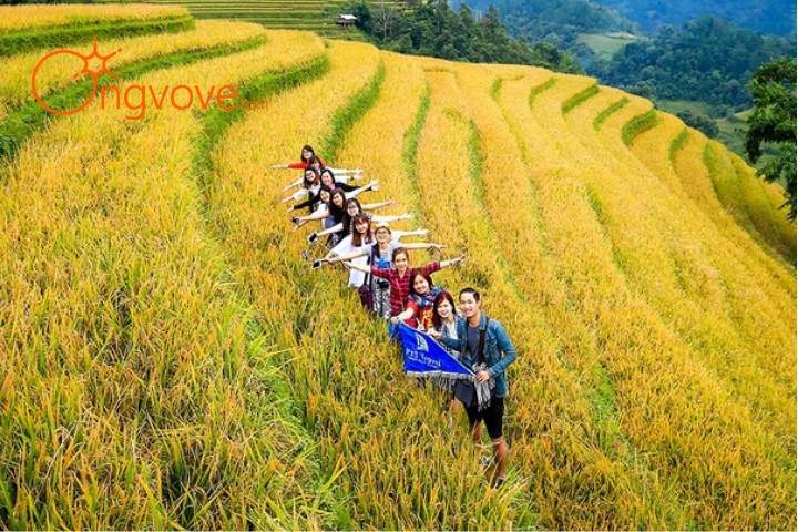 3. Tour nổi bật - Lên vùng núi phía Bắc mùa lúa chín