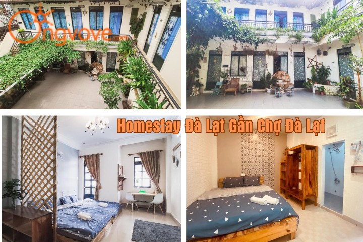 Lemongrass – homestay Đà Lạt gần chợ Đà Lạt
