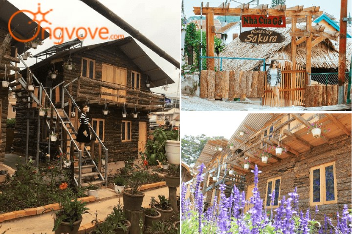 Sakura Homestay – Nhà của Gỗ