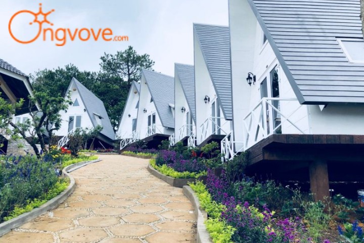 Lâm Phượng Cát Hill – Homestay dạng bungalow độc đáo
