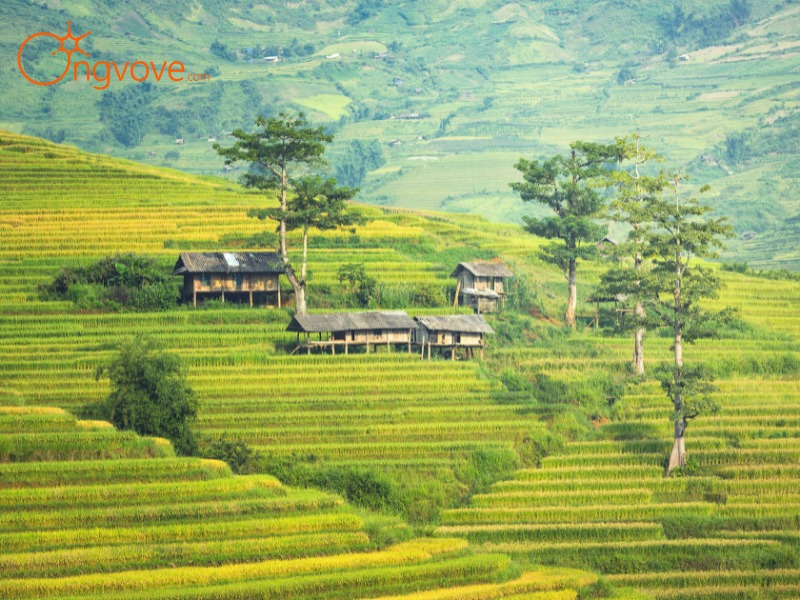 Thác Bạc - Dòng nước hùng vĩ giữa núi rừng Sapa