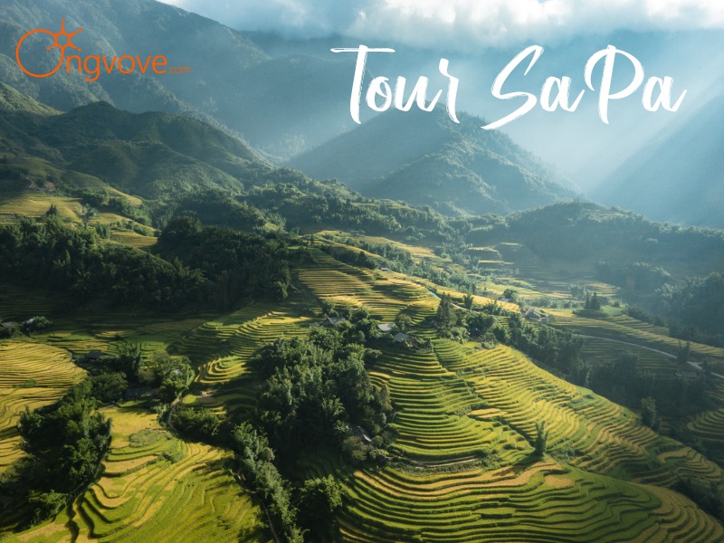 Tour SaPa