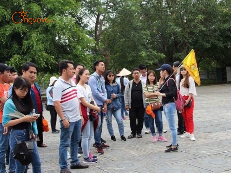 Chọn Lựa Tour Guide Cần Giờ Phù Hợp Với Nhu Cầu Của Bạn
