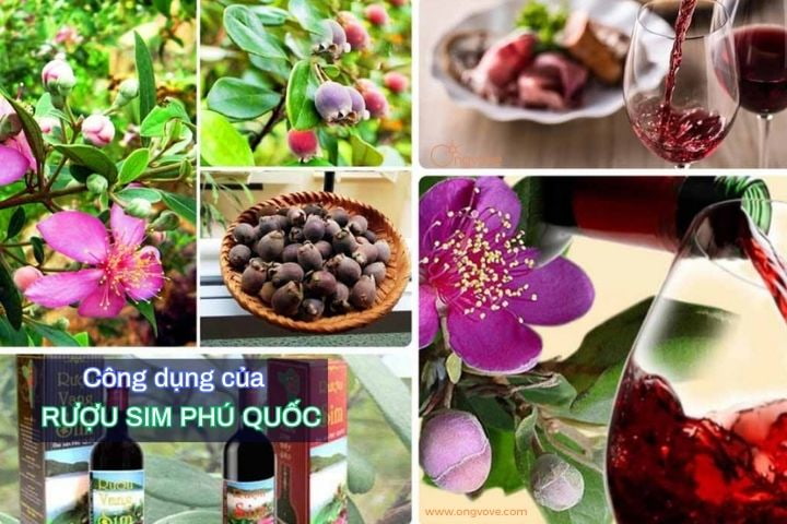 Công dụng của rượu sim Phú Quốc