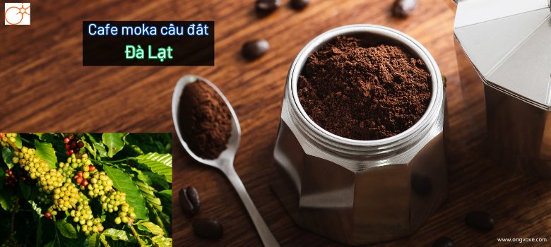 Cafe moka đà lạt - moka cầu đất có gì đặc biệt?