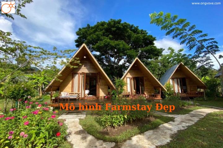 Những Mô Hình Farmstay Đẹp Thu Hút Đông Đảo Du Khách