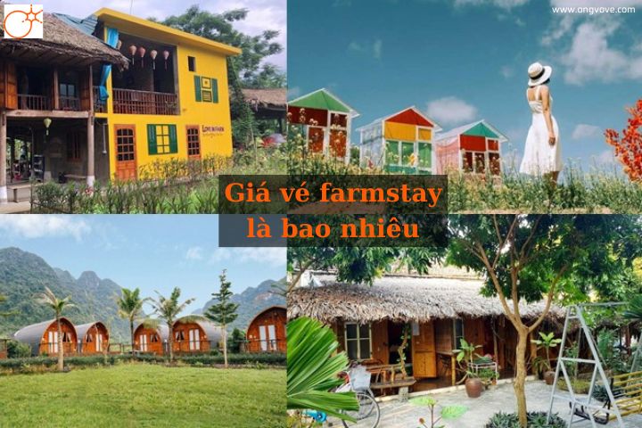 Giá vé farmstay là bao nhiêu? Kinh nghiệm “săn” giá vé farmstay rẻ nhất