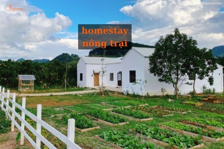 Mô hình homestay nông trại là gì? Bí quyết để có homestay nông trại “vạn người mê”