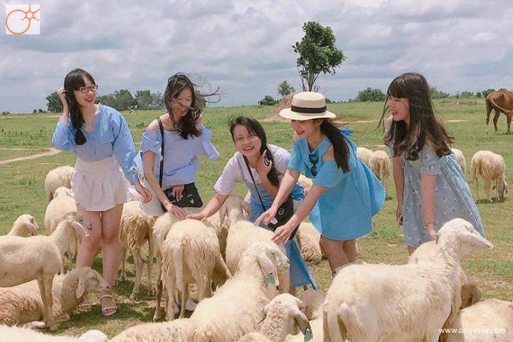 Tại Sao Gọi Là Vũng Tàu