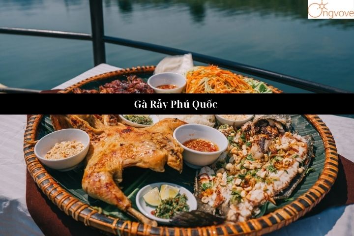 Top 5 Địa Chỉ Bán Gà Rẫy Phú Quốc Ngon Khó Cưỡng