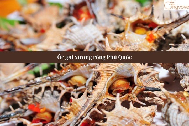 Ốc gai xương rồng Phú Quốc- Đặc sản nổi tiếng Phú Quốc