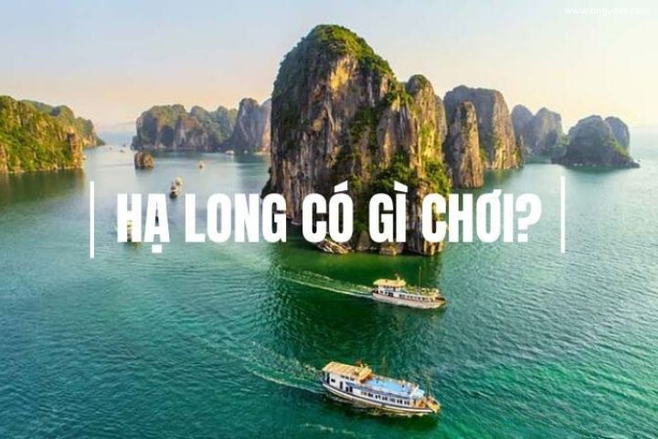 Hạ Long Có Gì Chơi