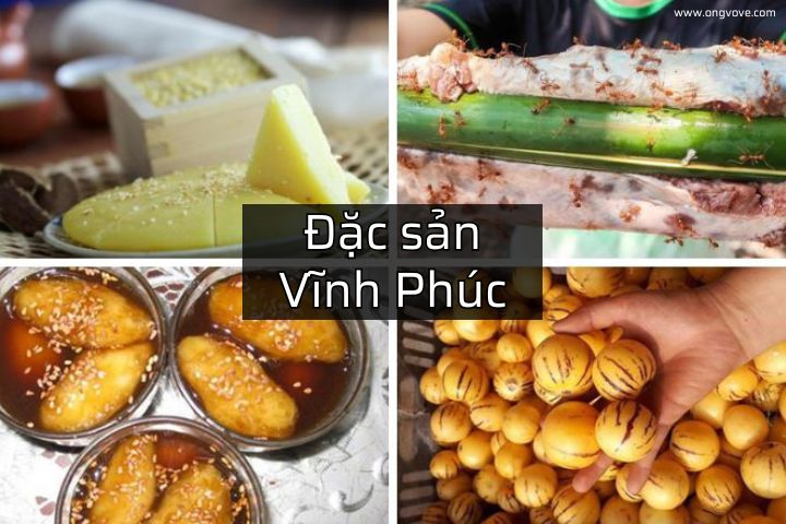 đặc sản vĩnh phúc