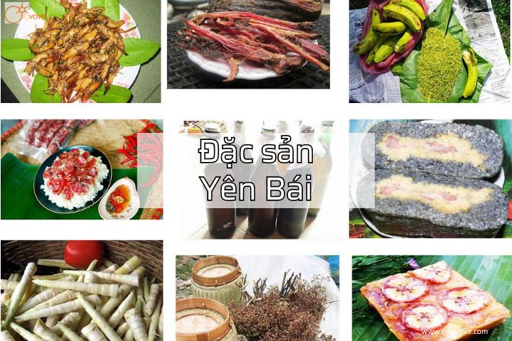 Đặc sản yên bái