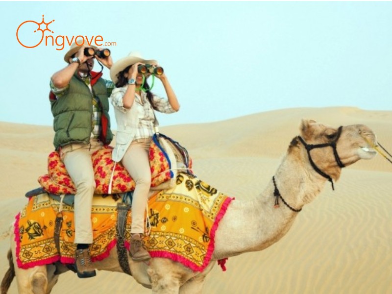 Những trải nghiệm hấp dẫn của Lễ hội sa mạc Jaisalmer tại Rajasthan