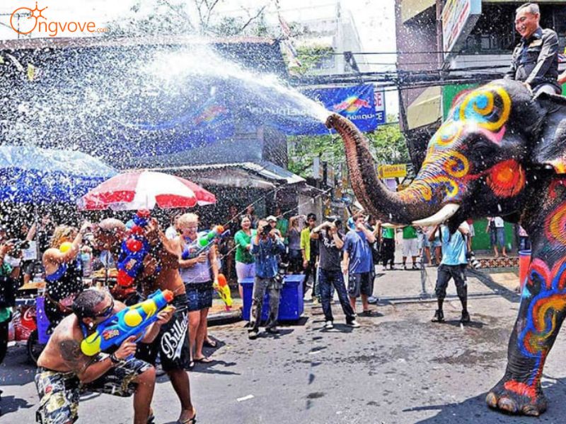 Các hoạt động nổi bật trong Chiang Mai Thái Lan