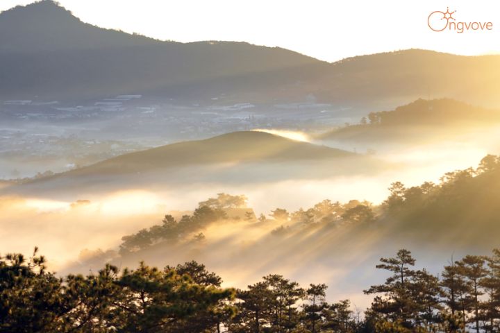 Hồ Suối Vàng - điểm săn mây view tuyệt đẹp