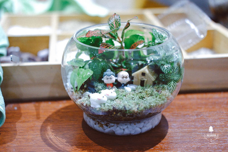 TERREARIUM WORKSHOP