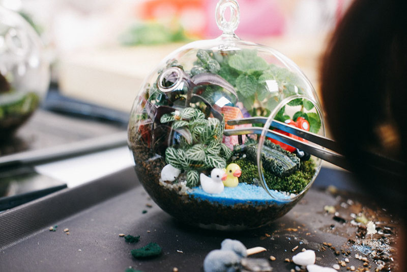 Lợi ích khi tham gia TERREARIUM WORKSHOP