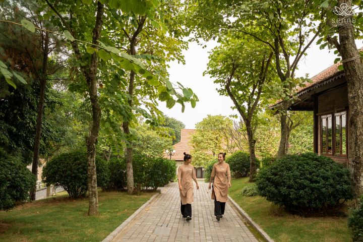Senna Wellness Retreat