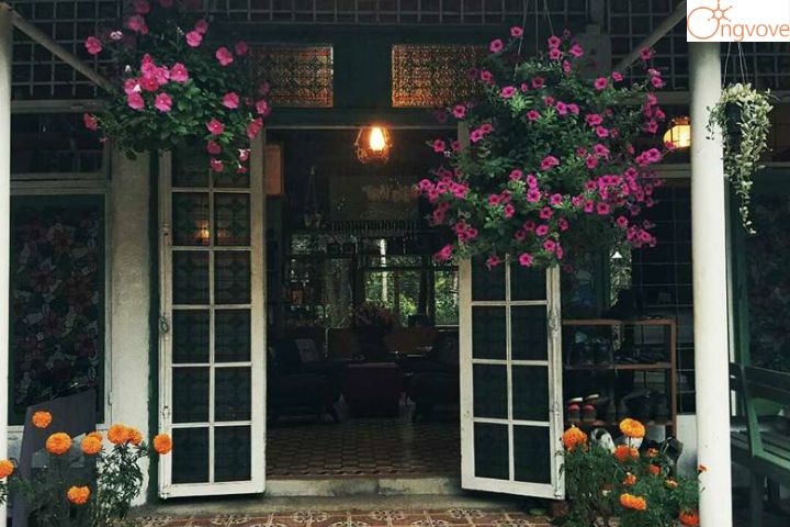Trại Điên Homestay