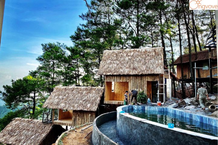 Pine Hill Homestay Tam Đảo